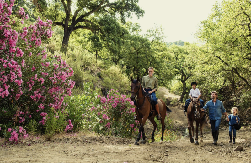 Equestrian Marbella